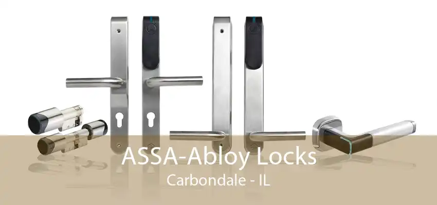 ASSA-Abloy Locks Carbondale - IL