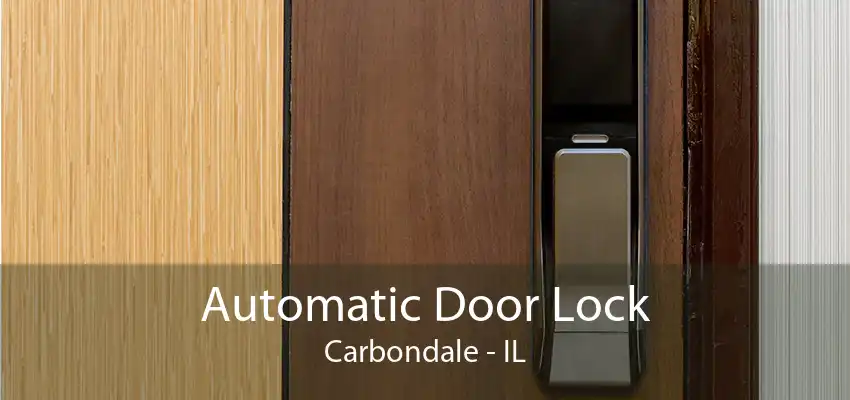 Automatic Door Lock Carbondale - IL