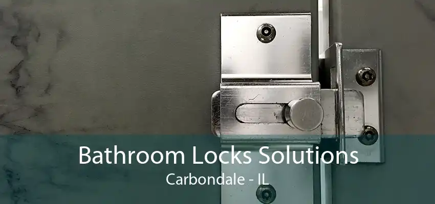 Bathroom Locks Solutions Carbondale - IL