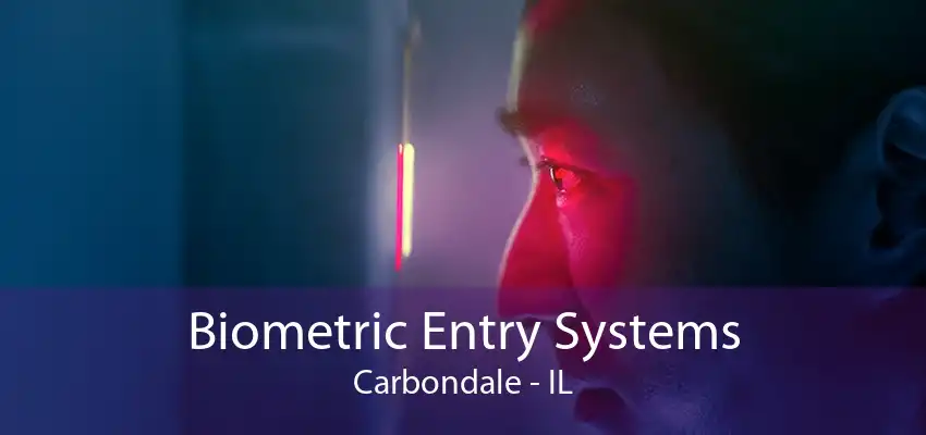 Biometric Entry Systems Carbondale - IL