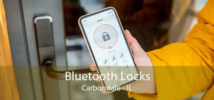 Bluetooth Locks Carbondale - IL