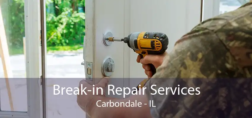 Break-in Repair Services Carbondale - IL