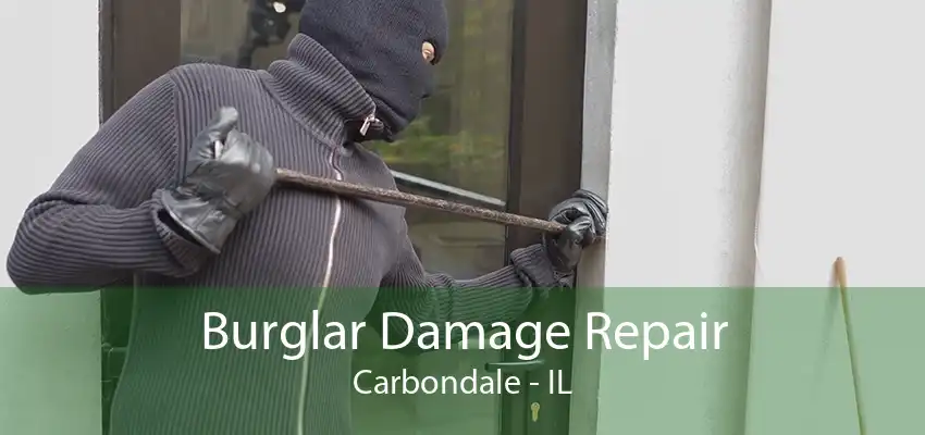 Burglar Damage Repair Carbondale - IL