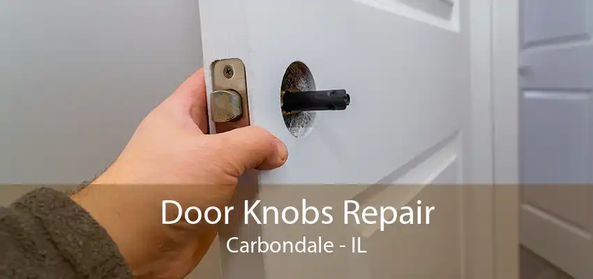 Door Knobs Repair Carbondale - IL