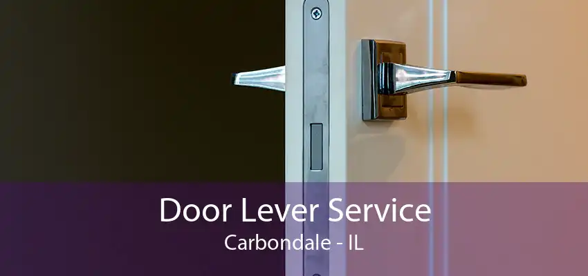 Door Lever Service Carbondale - IL