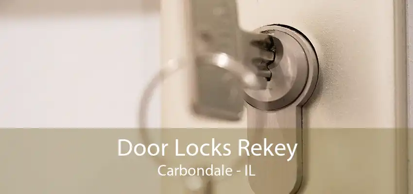 Door Locks Rekey Carbondale - IL