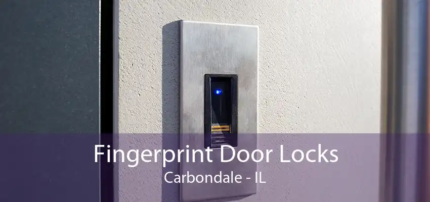 Fingerprint Door Locks Carbondale - IL