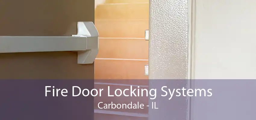 Fire Door Locking Systems Carbondale - IL