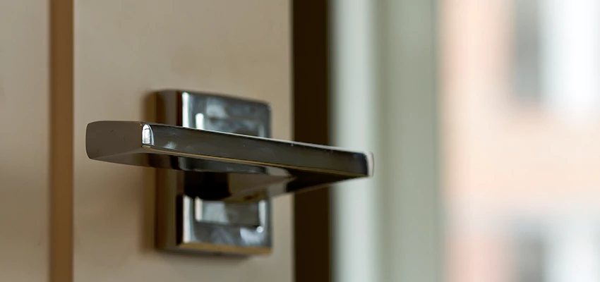 Door Lever Knob Repair in Carbondale, Illinois