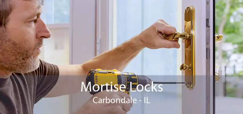 Mortise Locks Carbondale - IL