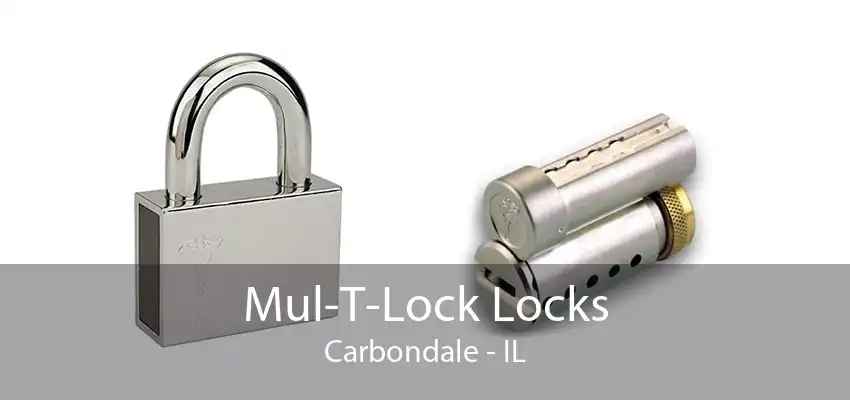 Mul-T-Lock Locks Carbondale - IL