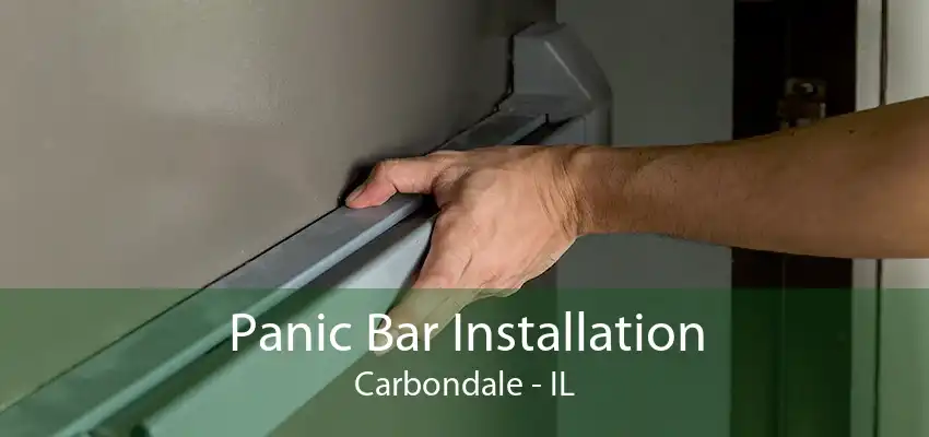 Panic Bar Installation Carbondale - IL