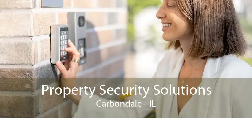 Property Security Solutions Carbondale - IL