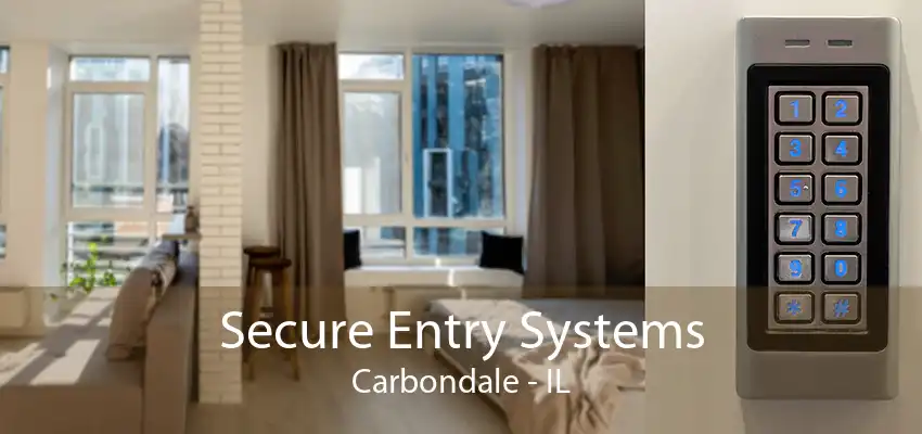 Secure Entry Systems Carbondale - IL