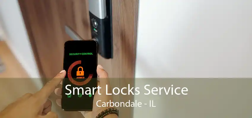 Smart Locks Service Carbondale - IL